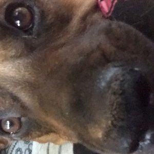 Meet your Posher, Kerry